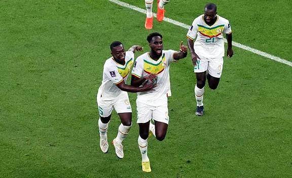 1669385482685027309.jpeg 13.jpeg